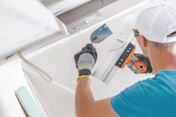 Best Biohazard Mold Removal  in Potomac Park, CA